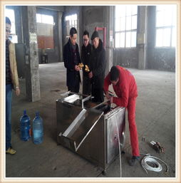 葵花籽去皮機(jī)報價 廠家