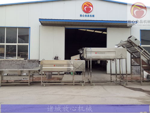 全自動(dòng)紅薯去皮機(jī) 高效洗滌設(shè)備的革新與應(yīng)用