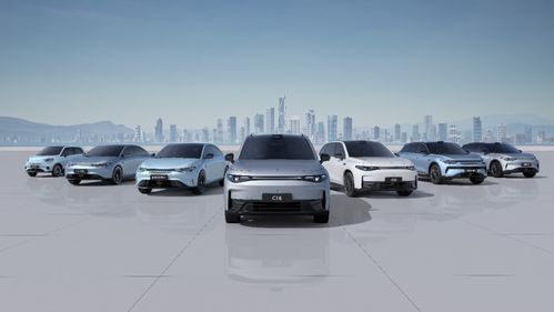 零跑汽車2024上半年財(cái)報(bào)分析 交付量創(chuàng)歷史新高，營銷網(wǎng)絡(luò)持續(xù)優(yōu)化助力銷售增長(zhǎng)